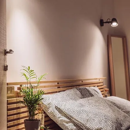 Olio Su Tela Bed & Breakfast Paliano Exterior photo